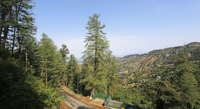 The Naldehra