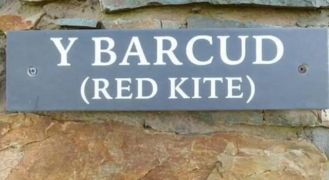 Коттедж Y Barcud