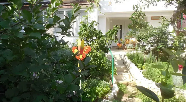 Apartman Azoa 3