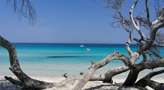 Coin Tranquille a 2km de Saint-Florent, Забронировать Апартаменты/квартира Отели Upper Corsica с бассейном, Бассейн