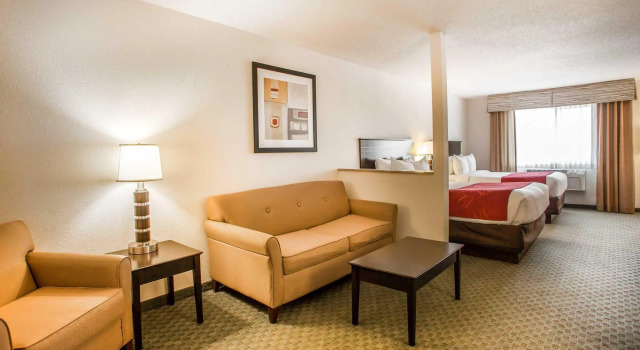 Двухместный номер Standard Comfort Suites Grayslake near Libertyville North