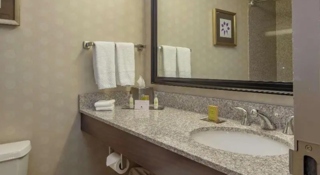 Номер Standard DoubleTree by Hilton Pittsburgh Monroeville Convention Center
