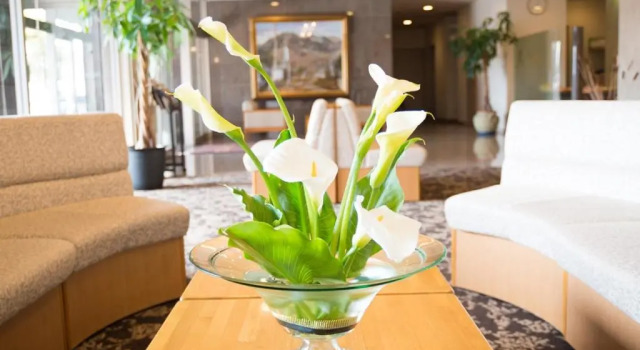 Moriyama Art Hotel, Buchen Sie Hotel Moriyama Lake Biwa