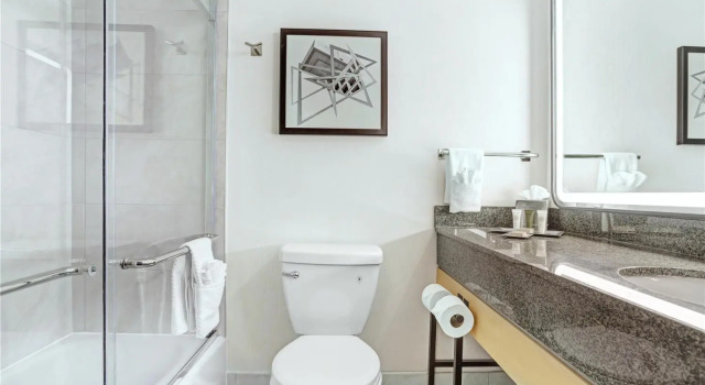 Двухместный номер Deluxe Hilton Arlington National Landing