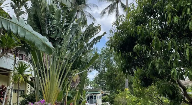 Sea Breeze Bungalow