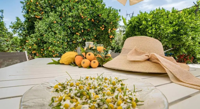 Olga's Organic garden Home for a couple! with Wifi & AC