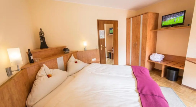 Двухместный номер Comfort Waldhotel Felschbachhof