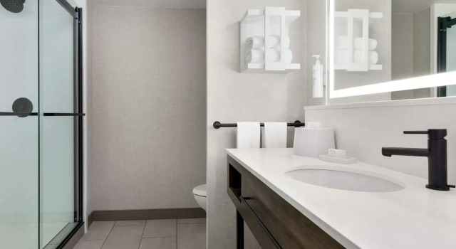 Люкс Hampton Inn & Suites Greenville-Downtown-Riverplace