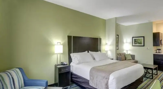 Номер Standard Holiday Inn Express & Suites Carrizo Springs by IHG