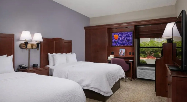 Четырёхместный номер Standard Hampton Inn Clemson
