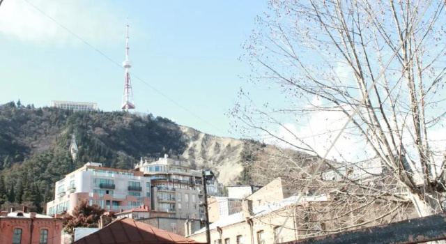 9 Shio Chitadze Street