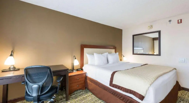Номер Standard Clarion Hotel and Suites