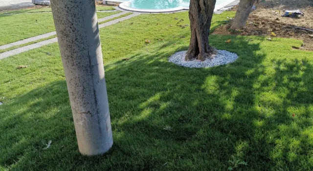 Апартаменты с 2 комнатами Villa Felicia