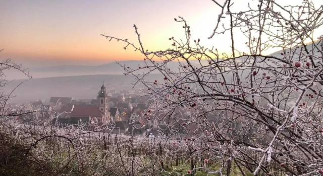 Апартаменты Les Gîtes Coeur de Vigne