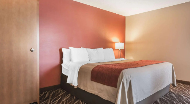 Двухместный номер Standard Spark by Hilton Oshawa