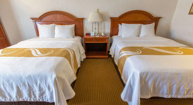 Четырёхместный номер Standard Quality Inn & Suites University