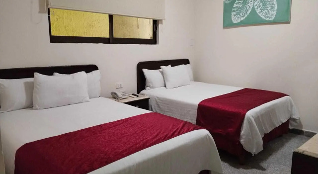 Olmeca Plaza Urban Express Hotel