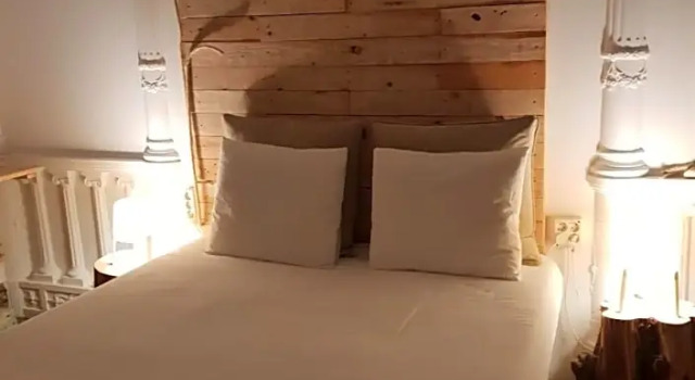 Люкс Standard Cactus Host