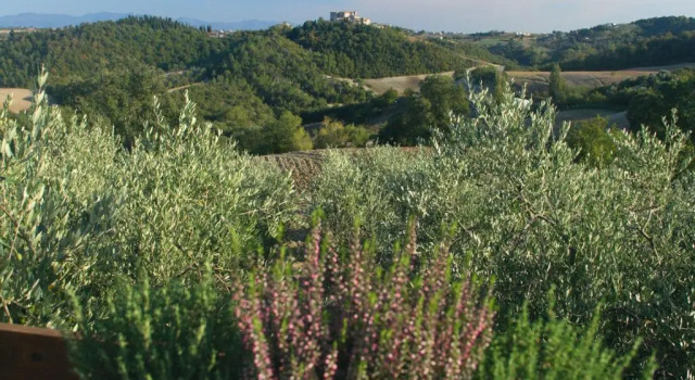 Люкс Montemenardo Organic Resort  Spa