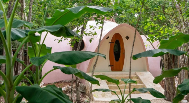Room-unique Jungle Dome 2 Queen Beds