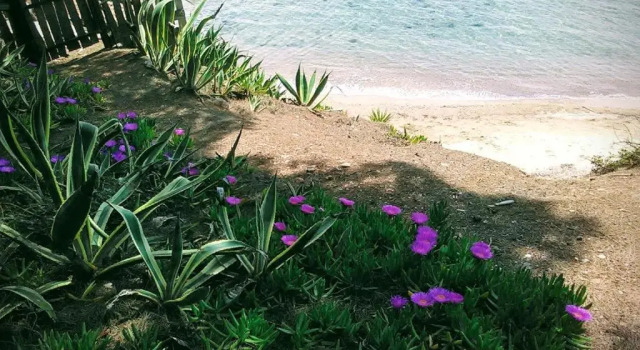 Коттедж с 2 комнатами Sea And House
