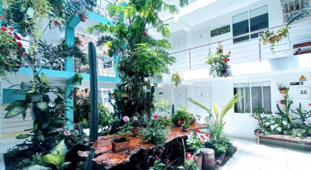 Люкс Standard Hotel Boutique los Remansos