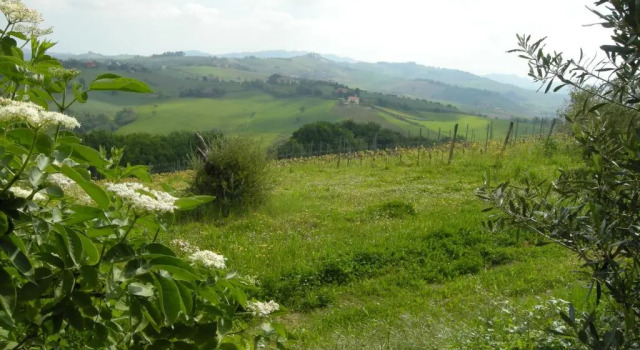 Номер Standard Recchi Franceschini Bike Hotel LAST - MINUTE - AVAILABILITY