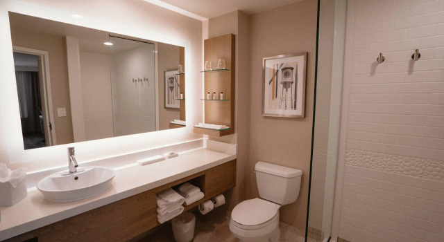 Двухместный номер Standard Delta Hotels by Marriott Raleigh-Durham at Research Triangle Park