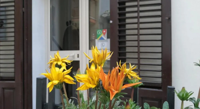 Номер Standard Opera Boutique Rooms