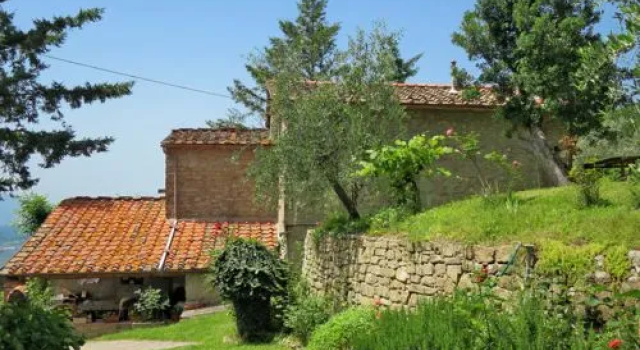 Belvedere - Gelsomino (CFS230)