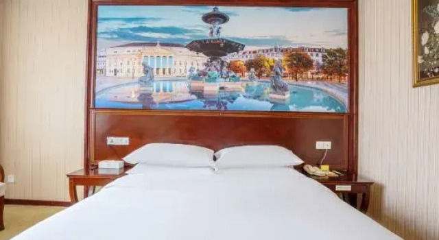 Люкс Business Vienna Hotel Guangzhou Shaheding Metro Station