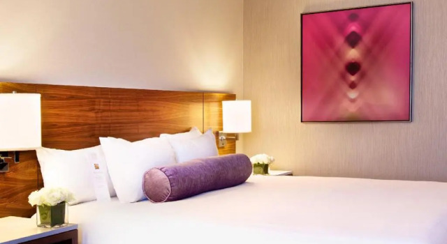 Двухместный номер с видом на город Hyatt Regency McCormick Place Chicago