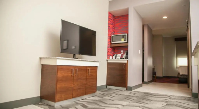 Полулюкс Hilton Garden Inn Tampa Suncoast Parkway