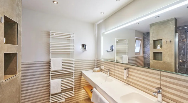 Двухместный полулюкс Schwanen Boutique Hotel & Restaurant Metzingen