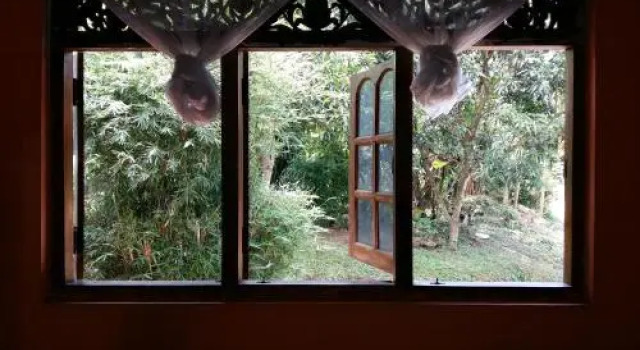 Pinnawala home stay, 예약 호텔 Pinnawala Kegalle District