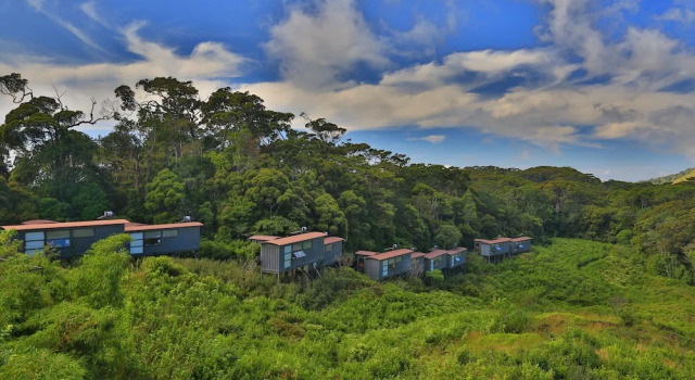 Шале Standard The Rainforest Ecolodge - Sinharaja with Shuttle Service from Car Park