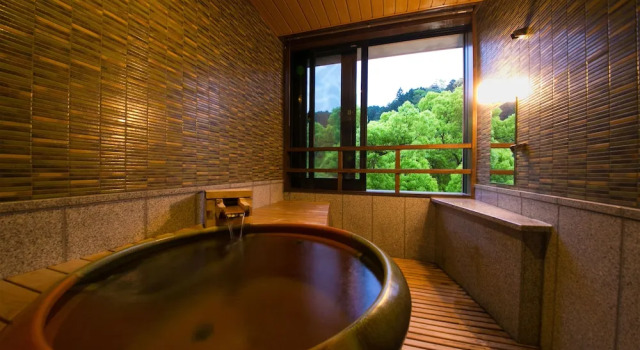 Номер Japanese-Western style room Kasumi Asagiri Nansuikaku