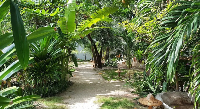 Номер Standard с балконом и с видом на сад Malapascua Beach and Dive Resort