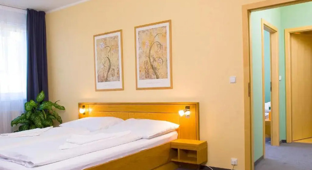 Двухместный номер Standard Hotel Trend