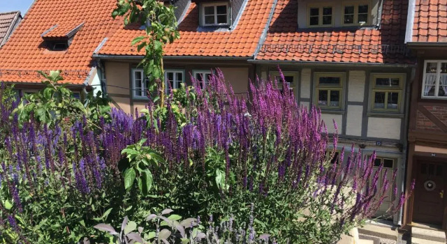Коттедж Idyll 23