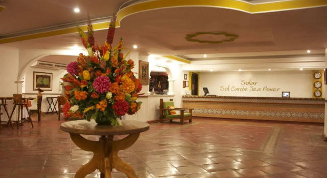 Sol Caribe Sea Flower