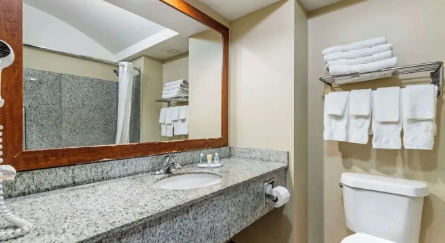 Люкс Standard Comfort Inn & Suites Seguin