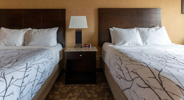 Четырёхместный номер Standard Best Western Plus South Edmonton Inn & Suites