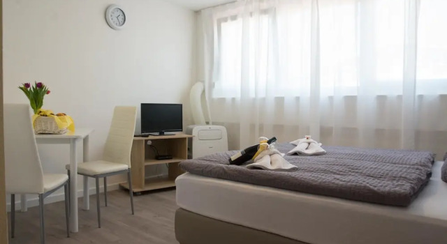 Студия Economy Fit-Relax Apartments Meersburg mit eigenem Sportstudio