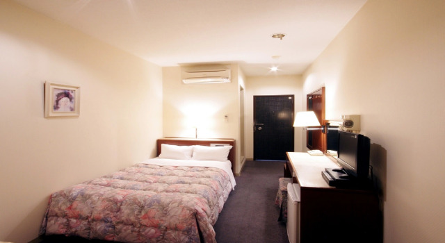 Одноместный номер Standard Leo Plaza Hotel