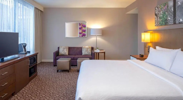 Двухместный с диваном-кроватью полулюкс Hilton Garden Inn Downtown Dallas