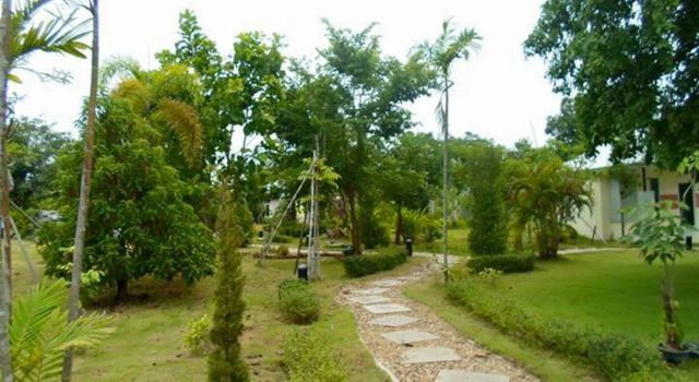 Nan at Pua