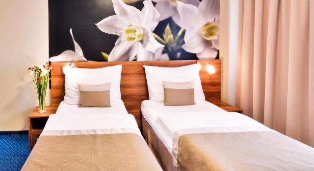Двухместный номер Standard Hotel Vista