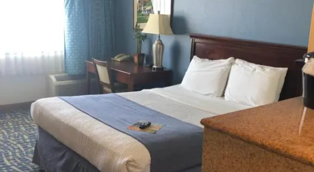 Standard- dobbelt værelse med haveudsigt Capes Hotel