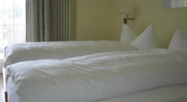 Hotel Zelindo, Prenota Hotel Losone 